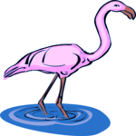 Flamingo 11