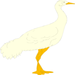 Bird 021