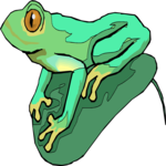 Frog 32