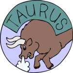 Taurus 16
