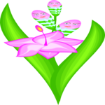 Gladiolas 1