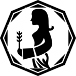 Virgo 12