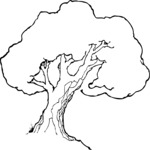 Tree 002