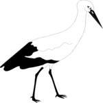 Bird 001