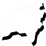 North Carolina 11
