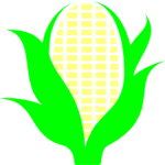 Corn 02