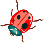 Ladybug 2