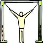 Chest 15