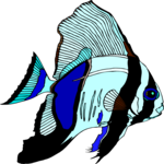 Batfish