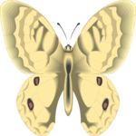 Butterfly 098