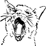 Cat 11