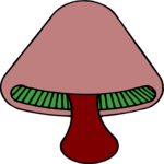 Mushroom 11