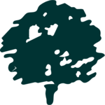 Tree 043