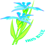 Iris Blue