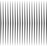 Border 455