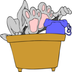 Rabbit at Desk