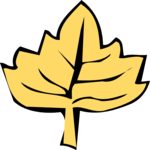 Leaf 066