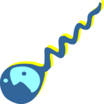 Sperm - Offbeat