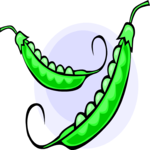 Pea Pods 13