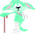 Broken Leg - Dog 1
