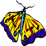 Butterfly 1
