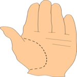 Palmestry 2