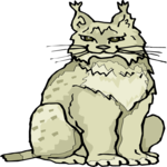 Bobcat 5