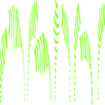 Liney Sprouts