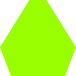 Polygon 15
