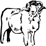 Ram 1