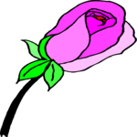 Rose 46