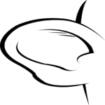 Ear 6
