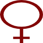 Venus 4