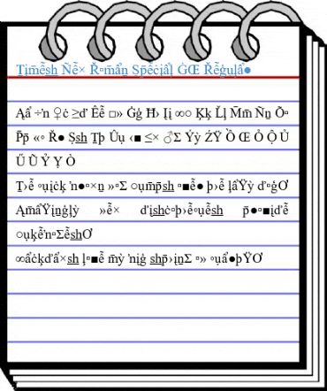 Times New Roman Special G2 Regular Font