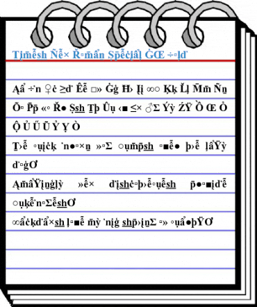 Times New Roman Special G2 Bold Font