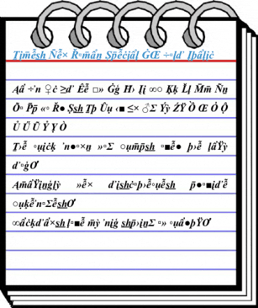 Times New Roman Special G2 Bold Italic Font