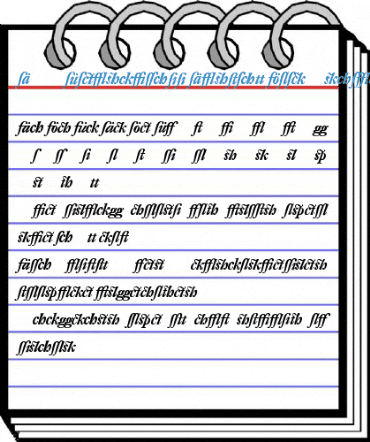 DTL Fleischmann Display Bold Italic Font