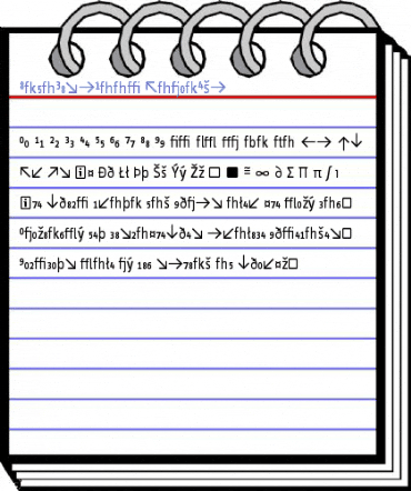 InfoDispBook RomanExp Font