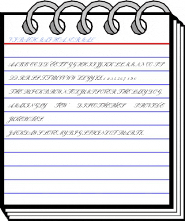 VI Bach Mai Hoa Normal Font