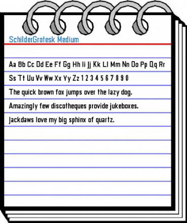 SchilderGrotesk Medium Font
