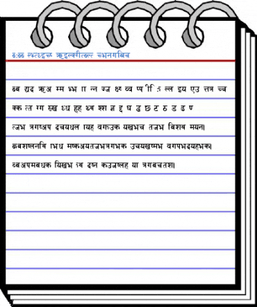 AMAA NETWORK CONSULTANT Regular Font