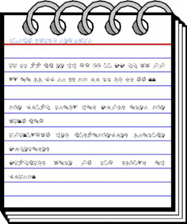 Birdy Slash Regular Font
