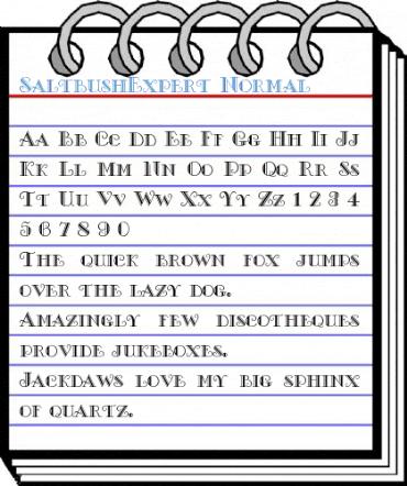 SaltbushExpert Normal Font