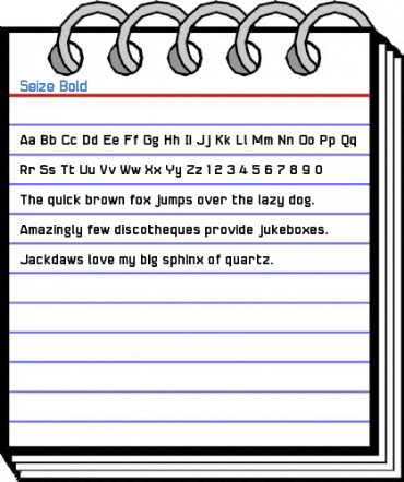 Seize Bold Font