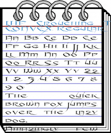 LHF Crouching Tiger CONVEX Regular Font