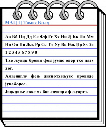 MAC C Times Font