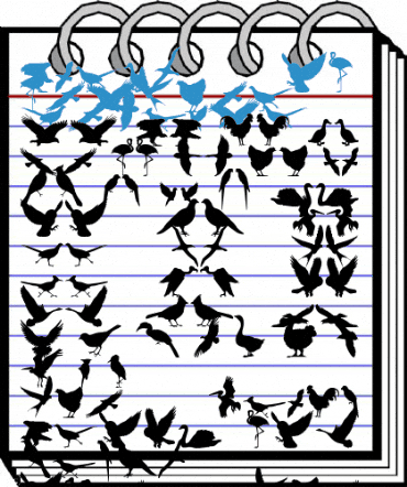 Birds of a Feather Regular Font