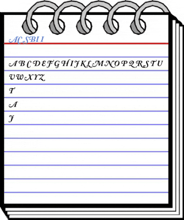 ACaslon SwashBoldItalic Italic Font