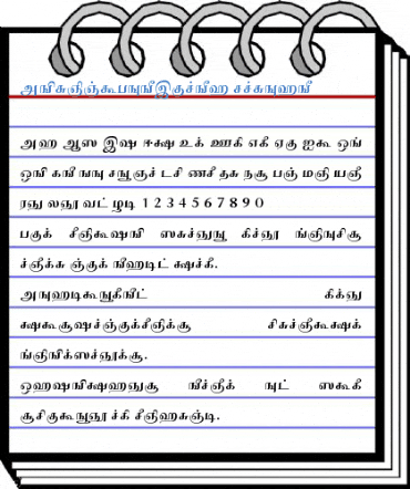 AkrutiTmlChola Normal Font