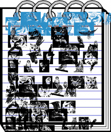 AParliamentofOwls3 Regular Font